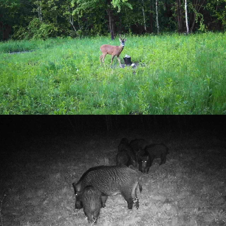 HC-801A-Li Outdoor Infrared Night Vision Lithium Battery Monitoring Camera by bashfashion