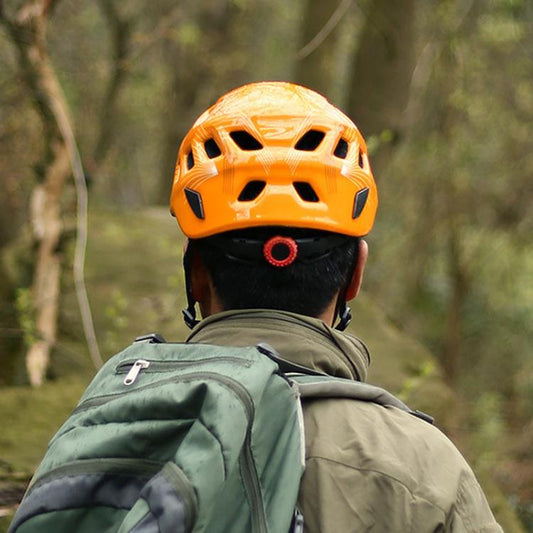 TBD06057044_B1.jpg@a3e7982b0bcb10957d158629039382a1