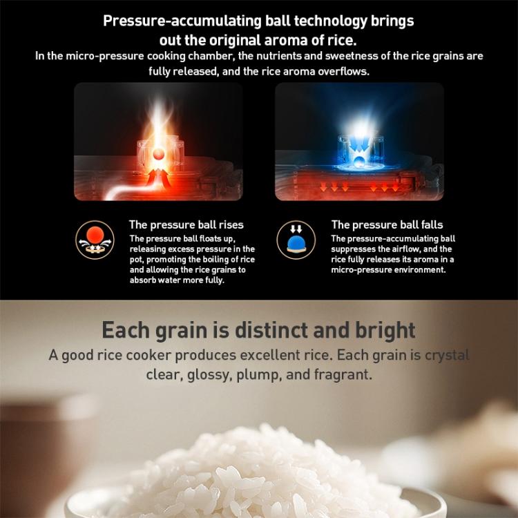 EDA0086076_B3.jpg@f75fc3f2d7bc2c74e98ea03ae4458b62