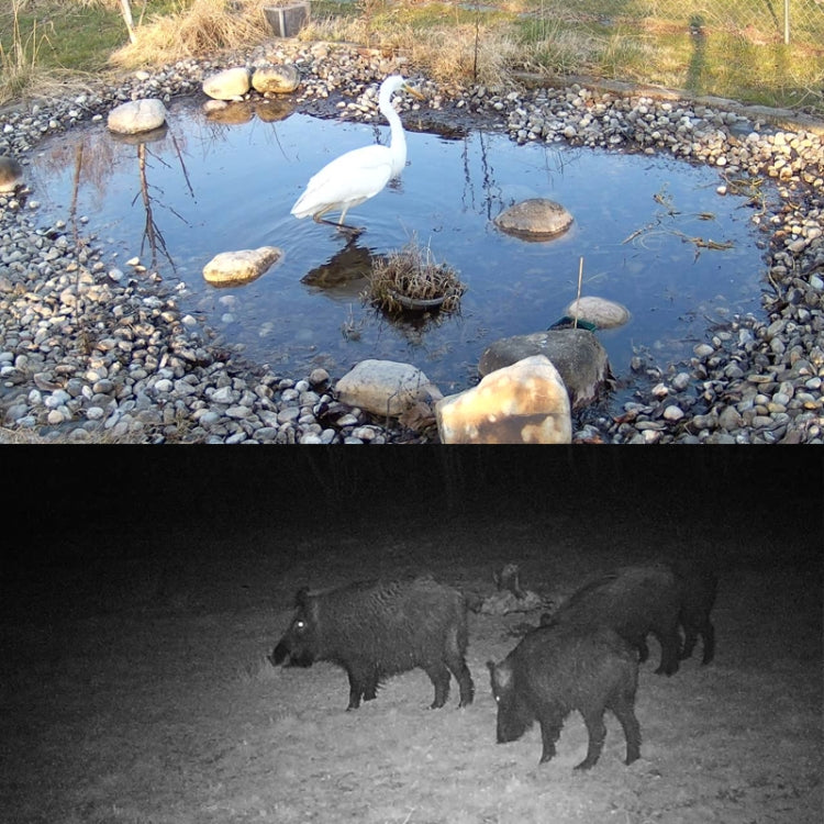 HC-801Pro 4K 4G Outdoor Hunting Camera App Remote Mobile Phone Control To View Photos And Video At Any Time, AU Plug by bashfashion