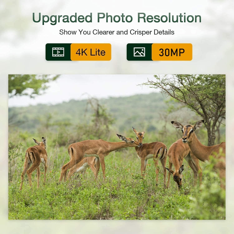 HC-801Pro 4K 4G Outdoor Hunting Camera App Remote Mobile Phone Control To View Photos And Video At Any Time, US Plug by bashfashion